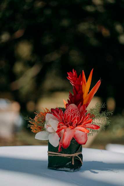 Détail floral tropical
